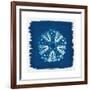 Cyan Blue Urchin-Christine Caldwell-Framed Premium Giclee Print