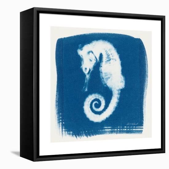 Cyan Seahorse-Christine Caldwell-Framed Stretched Canvas