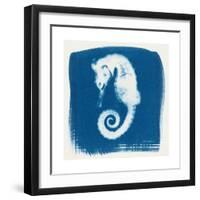 Cyan Seahorse-Christine Caldwell-Framed Premium Giclee Print