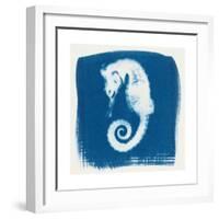 Cyan Seahorse-Christine Caldwell-Framed Premium Giclee Print