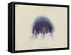 Cyanea Capillata: Lion's Mane Jellyfish-Philip Henry Gosse-Framed Stretched Canvas