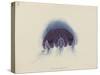 Cyanea Capillata: Lion's Mane Jellyfish-Philip Henry Gosse-Stretched Canvas