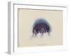 Cyanea Capillata: Lion's Mane Jellyfish-Philip Henry Gosse-Framed Giclee Print