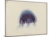 Cyanea Capillata: Lion's Mane Jellyfish-Philip Henry Gosse-Mounted Giclee Print