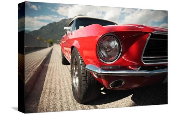 Stretched Canvas Print, , large