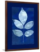 Cyanotype Birch-Dan Zamudio-Framed Art Print