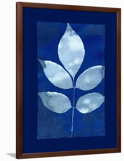 Cyanotype Birch-Dan Zamudio-Framed Art Print