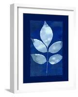 Cyanotype Birch-Dan Zamudio-Framed Art Print