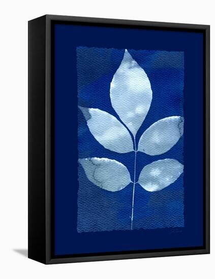 Cyanotype Birch-Dan Zamudio-Framed Stretched Canvas