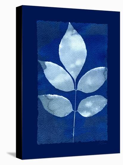 Cyanotype Birch-Dan Zamudio-Stretched Canvas