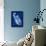 Cyanotype Fern-Dan Zamudio-Art Print displayed on a wall
