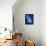 Cyanotype Fern-Dan Zamudio-Art Print displayed on a wall