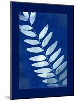 Cyanotype Fern-Dan Zamudio-Mounted Art Print