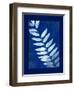 Cyanotype Fern-Dan Zamudio-Framed Art Print