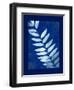 Cyanotype Fern-Dan Zamudio-Framed Art Print