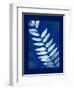 Cyanotype Fern-Dan Zamudio-Framed Art Print