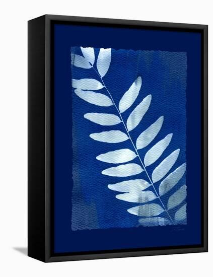 Cyanotype Fern-Dan Zamudio-Framed Stretched Canvas