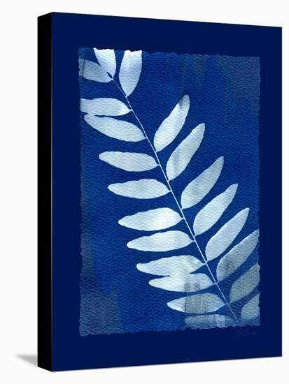 Cyanotype Fern-Dan Zamudio-Stretched Canvas