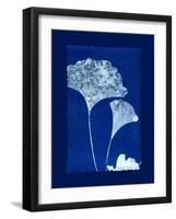 Cyanotype Ginko-Dan Zamudio-Framed Art Print