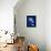 Cyanotype Ginko-Dan Zamudio-Framed Stretched Canvas displayed on a wall
