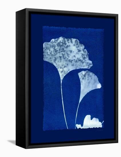 Cyanotype Ginko-Dan Zamudio-Framed Stretched Canvas