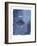 Cyanotype I-Ken Hurd-Framed Art Print