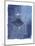 Cyanotype I-Ken Hurd-Mounted Art Print