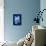 Cyanotype Leaf-Dan Zamudio-Stretched Canvas displayed on a wall