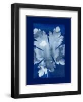 Cyanotype Leaf-Dan Zamudio-Framed Art Print