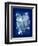 Cyanotype Leaf-Dan Zamudio-Framed Art Print