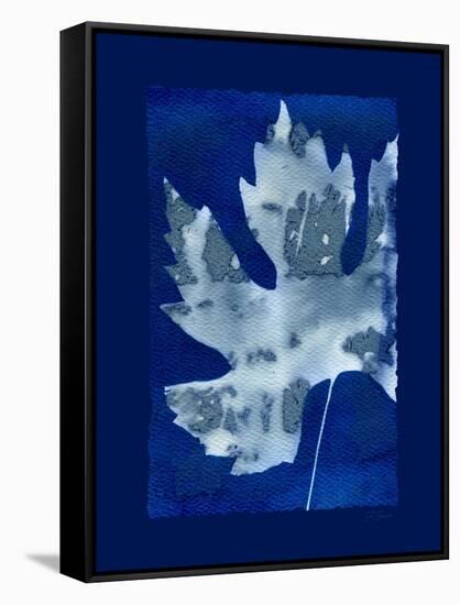 Cyanotype Maple-Dan Zamudio-Framed Stretched Canvas