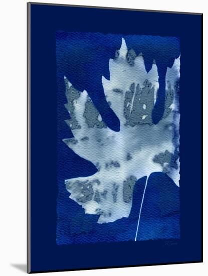 Cyanotype Maple-Dan Zamudio-Mounted Art Print