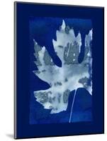 Cyanotype Maple-Dan Zamudio-Mounted Art Print