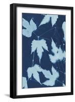 Cyanotype No.10-Renee W. Stramel-Framed Art Print