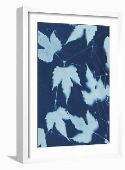 Cyanotype No.10-Renee W. Stramel-Framed Art Print