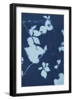 Cyanotype No.11-Chariklia Zarris-Framed Art Print