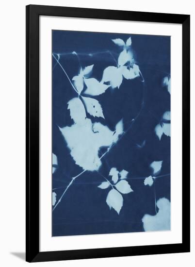 Cyanotype No.11-Chariklia Zarris-Framed Art Print