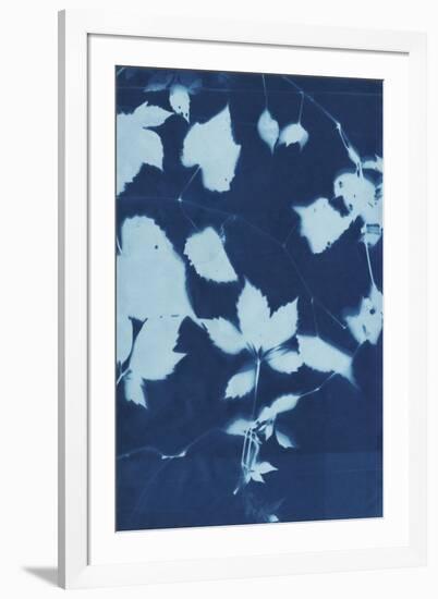 Cyanotype No.12-Chariklia Zarris-Framed Art Print