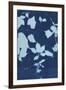 Cyanotype No.12-Chariklia Zarris-Framed Art Print