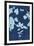 Cyanotype No.12-Chariklia Zarris-Framed Art Print