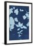 Cyanotype No.12-Chariklia Zarris-Framed Art Print