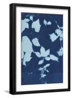 Cyanotype No.12-Chariklia Zarris-Framed Art Print