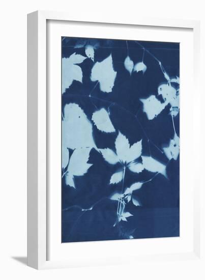 Cyanotype No.12-Chariklia Zarris-Framed Art Print