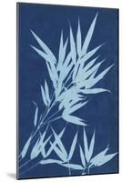 Cyanotype No.1-Renee W. Stramel-Mounted Art Print