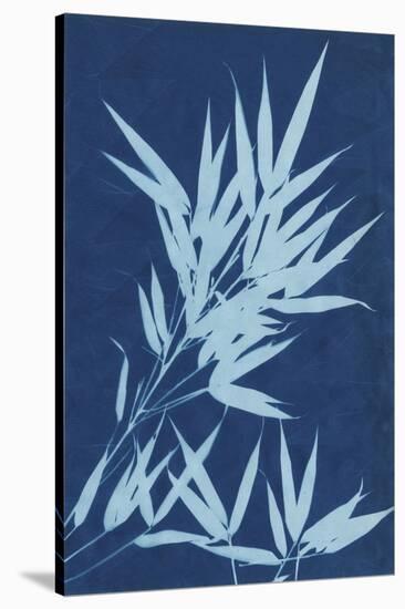 Cyanotype No.1-Renee W. Stramel-Stretched Canvas