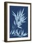 Cyanotype No.1-Renee W. Stramel-Framed Premium Giclee Print