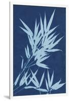 Cyanotype No.1-Renee W. Stramel-Framed Art Print