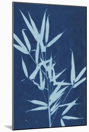 Cyanotype No.2-Renee W. Stramel-Mounted Art Print