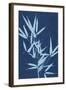 Cyanotype No.2-Renee W. Stramel-Framed Art Print