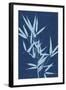 Cyanotype No.2-Renee W. Stramel-Framed Art Print